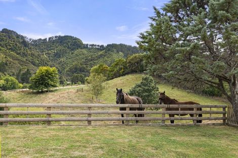 Photo of property in 1007 Old Mountain Road, Waitetuna, Raglan, 3295