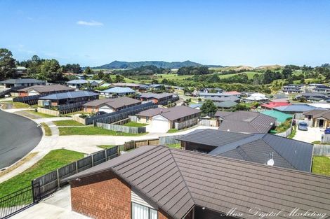 Photo of property in 12 Manuka Street, Miramar, Wellington, 6022