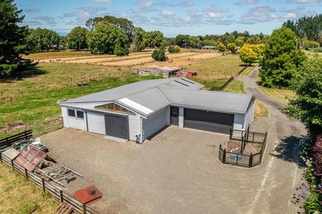 Photo of property in 84 Johnson Street, Bulls, 4818