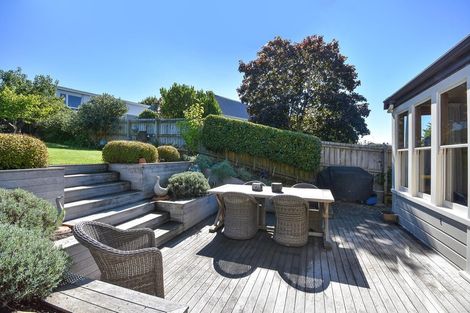 Photo of property in 31 Kilgour Street, Roslyn, Dunedin, 9010