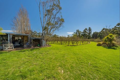 Photo of property in 5 Mona Vale Street, Waikari, 7420