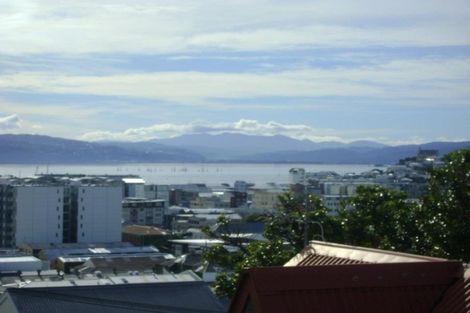 Photo of property in 53a Hankey Street, Mount Cook, Wellington, 6011