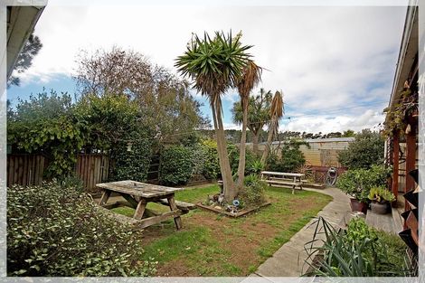 Photo of property in 19 Andrews Street, Foxton Beach, Foxton, 4815