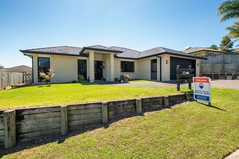 Photo of property in 17 Danny Place, Pyes Pa, Tauranga, 3112