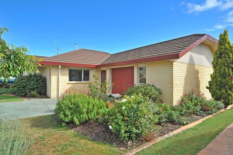 Photo of property in 33 Paisley Street, Awapuni, Palmerston North, 4412