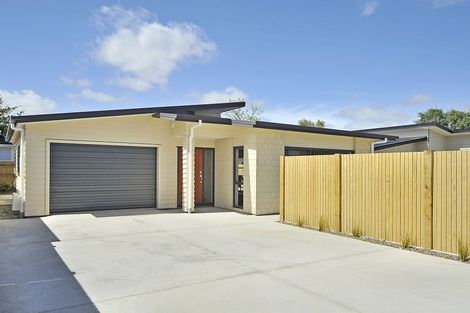 Photo of property in 21 Vernon Avenue, Takaro, Palmerston North, 4412