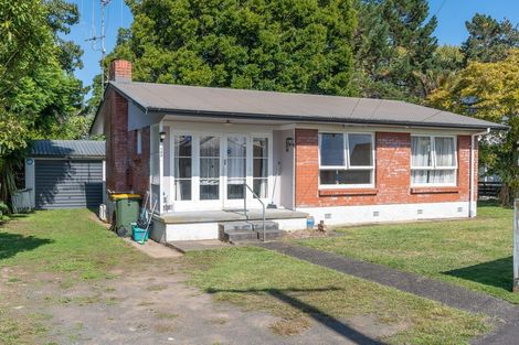 Photo of property in 105 Rimu Street, Maeroa, Hamilton, 3200