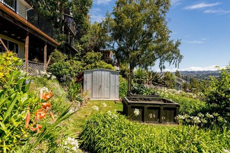 Photo of property in 141 Evans Street, Opoho, Dunedin, 9010