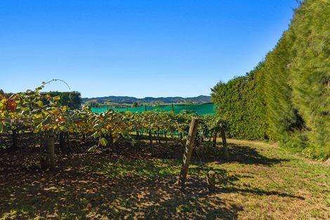 Photo of property in 31 Clark Cross Road, Otara, Opotiki, 3197