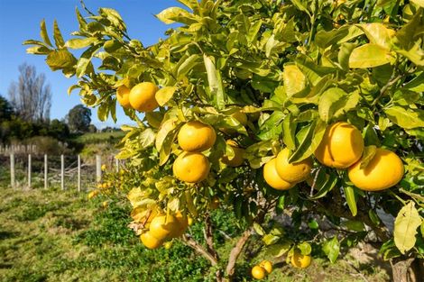 Photo of property in 9 Totara Street, Marton, 4710