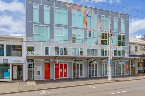 Photo of property in Canvas Apartments, 12/307 Willis Street, Te Aro, Wellington, 6011