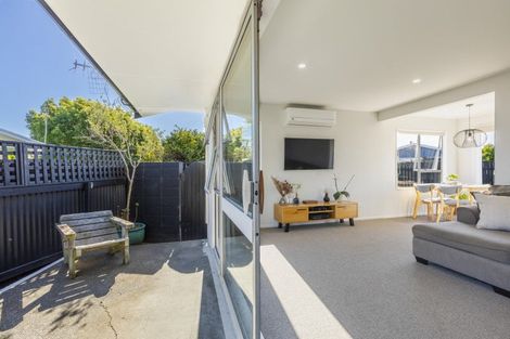 Photo of property in 61 Lanark Crescent, Tamatea, Napier, 4112