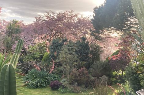 Photo of property in 125 Matangi Road, Matangi, Hamilton, 3284