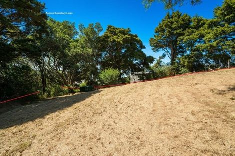 Photo of property in 47 Laingholm Drive, Laingholm, Auckland, 0604