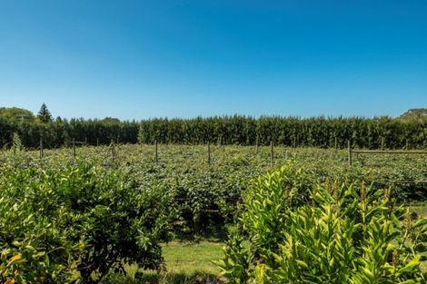 Photo of property in 78 Plummers Point Road, Whakamarama, Tauranga, 3172