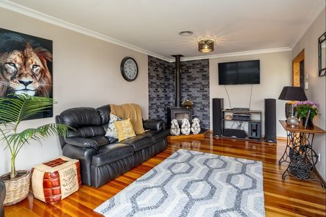 Photo of property in 20 Victoria Street, Pahiatua, 4910