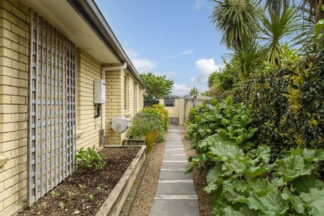 Photo of property in 17 Olive Close, Omokoroa, 3114