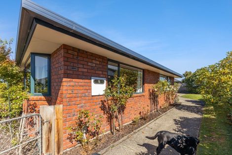 Photo of property in 10 Craddock Place, Waldronville, Dunedin, 9018