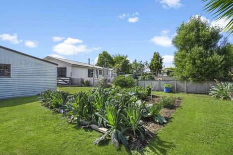 Photo of property in 1209 Kakaramea Road, Ngahinapouri, Ohaupo, 3882