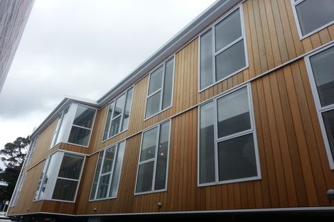 Photo of property in Canvas Apartments, 21/307 Willis Street, Te Aro, Wellington, 6011