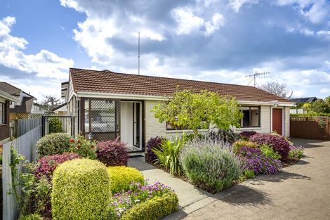 Photo of property in 4/35 Georges Drive, Napier South, Napier, 4110