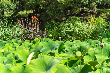 Photo of property in 304 Mangakahia Road, Maungatapere, Whangarei, 0179