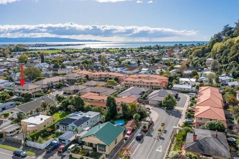 Photo of property in Totara Grove, 45/115 Grove Street, The Wood, Nelson, 7010