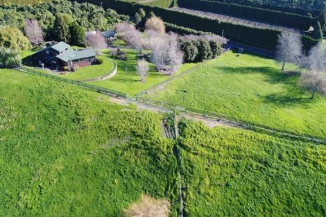 Photo of property in 131 Hereford Road, Oropi, Tauranga, 3173