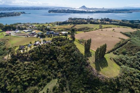 Photo of property in 31 Eagleview Rise, Welcome Bay, Tauranga, 3175
