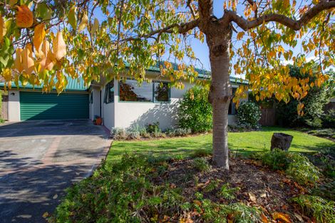 Photo of property in 26 Maple Crescent, Richmond, 7020