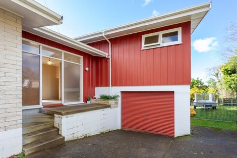 Photo of property in 147 Tirau Street, Putaruru, 3411