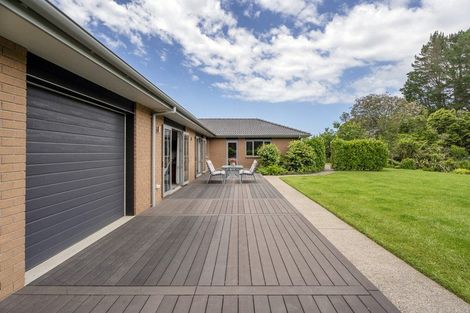 Photo of property in 50b Paul Road, Whenuakite, Whitianga, 3591