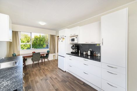 Photo of property in 51 Fitzroy Street, Terrace End, Palmerston North, 4410