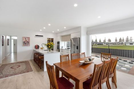 Photo of property in 17 Hurunui Drive, Te Awa, Napier, 4110