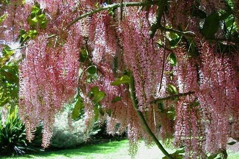 Photo of property in 940 South Head Road, South Head, Helensville, 0874