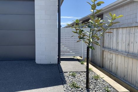 Photo of property in 51 Saint Pauls Drive, Brookfield, Tauranga, 3110