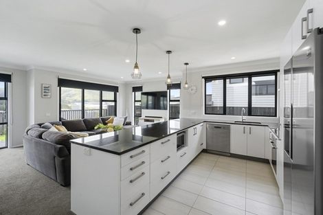 Photo of property in 111 John Burke Drive, Aotea, Porirua, 5024