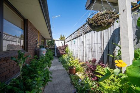 Photo of property in 2/90a Halifax Street East, The Wood, Nelson, 7010