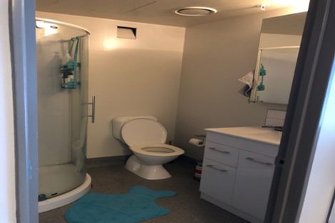 Photo of property in Dual Apartments, 301/142 Vivian Street, Te Aro, Wellington, 6011