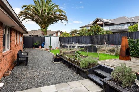 Photo of property in 16 Trinidad Place, Flagstaff, Hamilton, 3210