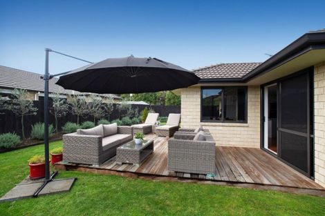 Photo of property in 50 Matipo Street, Matamata, 3400