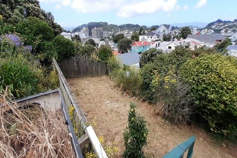 Photo of property in 2 Mudges Terrace, Newtown, Wellington, 6021