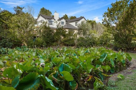 Photo of property in 45 Chester Avenue, Greenhithe, Auckland, 0632