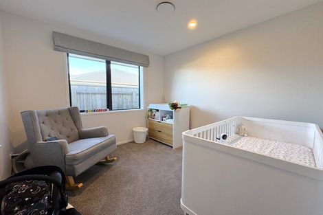 Photo of property in 45 Accolade Street, Feilding, 4702