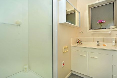 Photo of property in 33 Paisley Street, Awapuni, Palmerston North, 4412