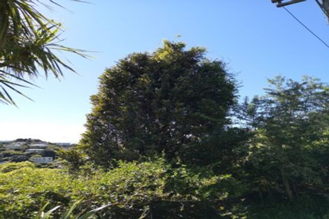 Photo of property in 11 Voltaire Street, Karori, Wellington, 6012