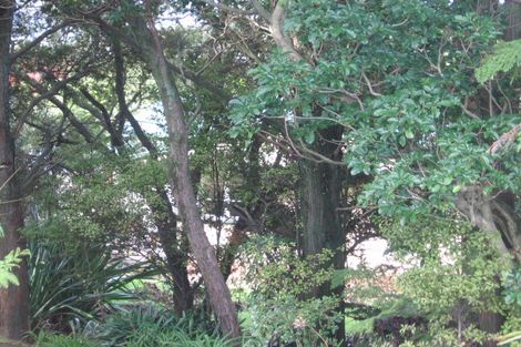 Photo of property in 242 Old Titirangi Road, Titirangi, Auckland, 0604