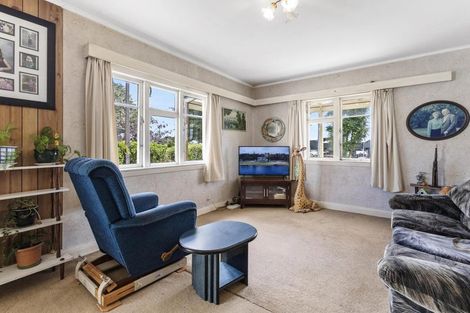 Photo of property in 58 Domain Road, Putaruru, 3482
