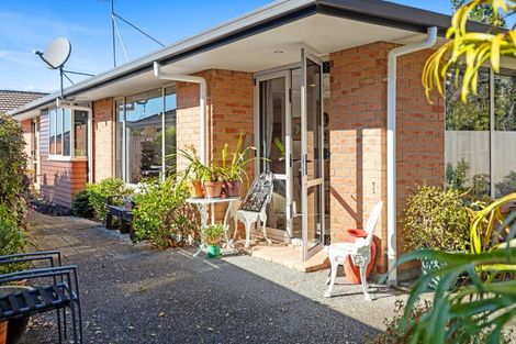 Photo of property in 11/17 Simmonds Grove, Greerton, Tauranga, 3112