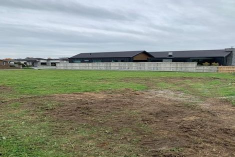 Photo of property in 51 Roy Hilton Drive, Flagstaff, Hamilton, 3210